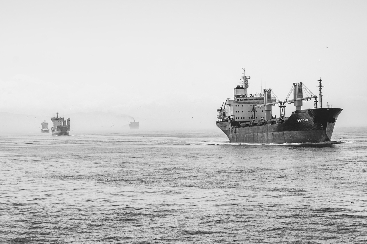 ships, ocean, sea, vessels, container ships, cargo ships, transportation, nautical, monochrome, nature, black and white